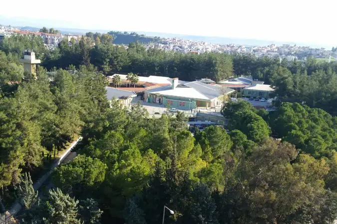 Ruh Sağlığı Hastanesi Mescidi kapak fotoğrafı