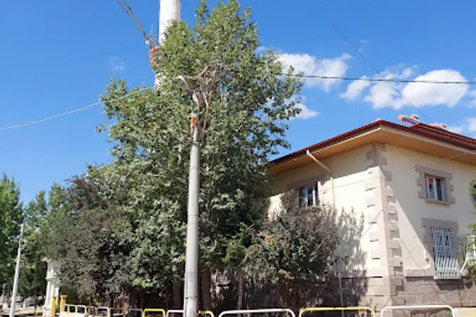 Tınaztepe Kasabası Merkez Cami kapak fotoğrafı