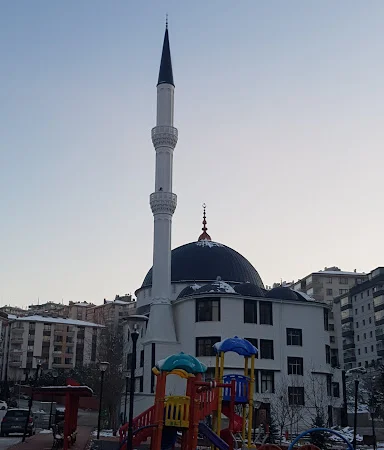 Hafız Ahmet Beyazit Cami kapak fotoğrafı