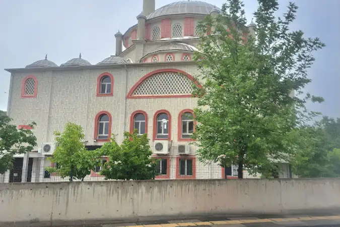 Emir Sultan Cami kapak fotoğrafı