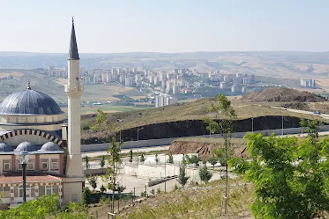 Hz. Hamza Cami kapak fotoğrafı