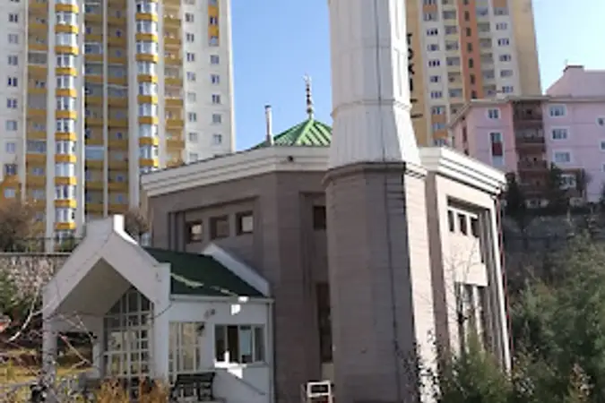 Turkuaz Kuba Cami kapak fotoğrafı
