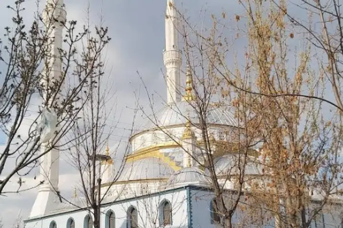Malazgirt Anayurt Cami kapak fotoğrafı