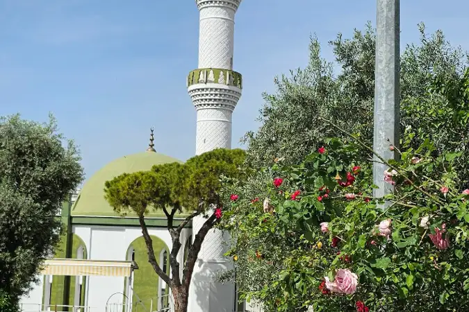 Mimar Osman Aran Cami kapak fotoğrafı