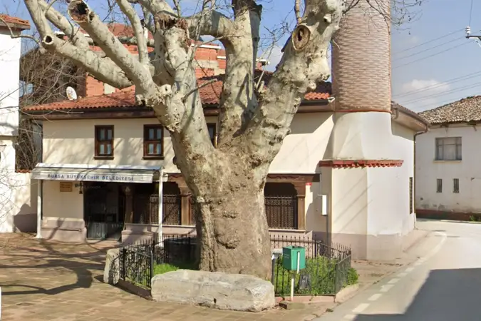 Yaylacık Mahallesi Eski Cami kapak fotoğrafı