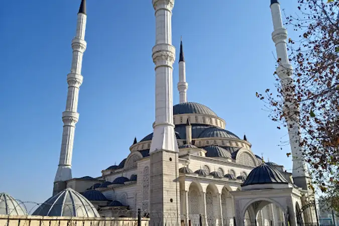 Fekiyi Teyran Cami kapak fotoğrafı