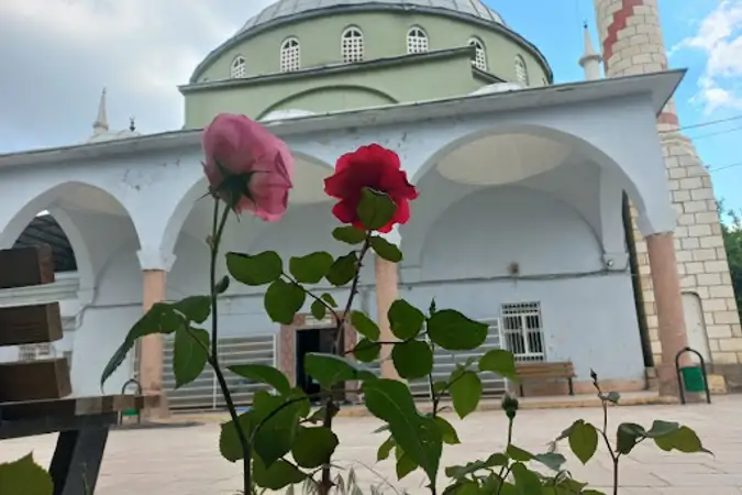 Kayapınar Merkez Cami kapak fotoğrafı
