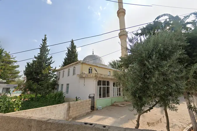 Sazgın Mahallesi Aşağı Cami kapak fotoğrafı