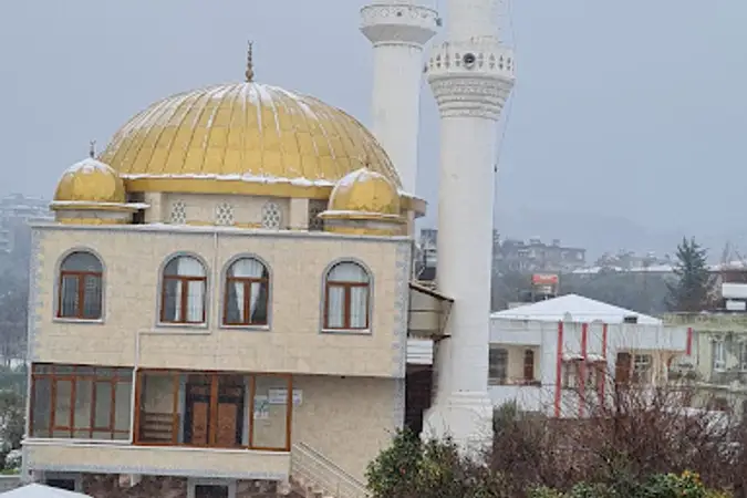 Çardaklı Köyü Cami kapak fotoğrafı