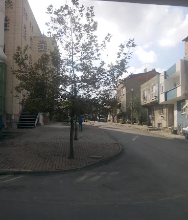 Bogazkoy Merkez Mahallesi Cami kapak fotoğrafı