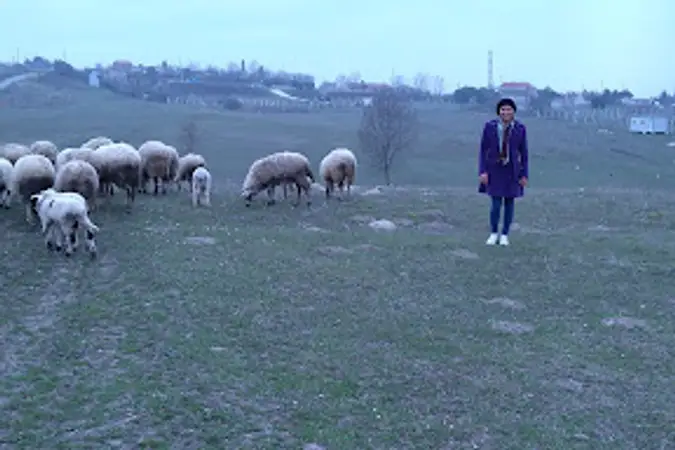 Çinili Mescidi İhlas Cami kapak fotoğrafı