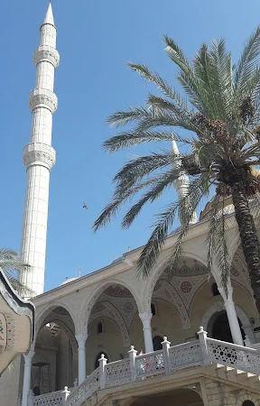 Örnek Mahallesi Merkez Cami kapak fotoğrafı