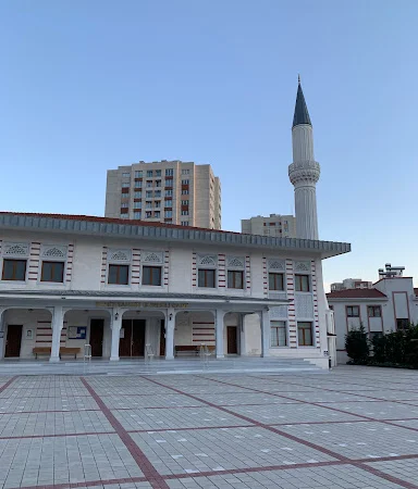 Şehit Tahsin Gerekli Cami kapak fotoğrafı