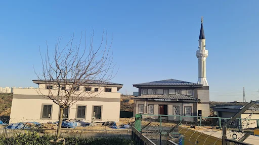 3. İstanbul Cami kapak fotoğrafı