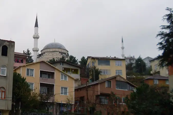 Çubuklu Şenevler Cami kapak fotoğrafı