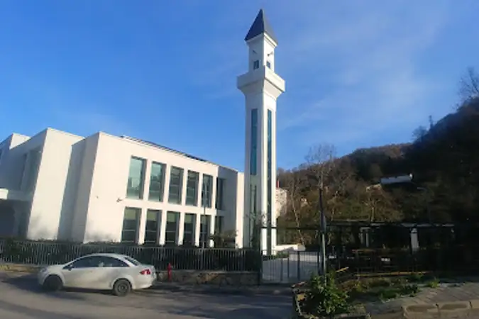Mahmut Şevket Paşa Köyü Yeni Cami (Selam Cami) kapak fotoğrafı