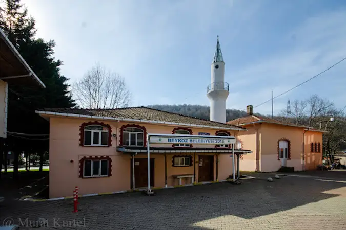 Molla Fenari Cami kapak fotoğrafı
