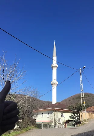 Tokatköy Çiftlik Cami kapak fotoğrafı