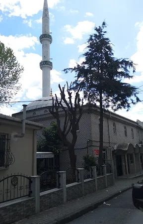 Bilali Habeşi Cami kapak fotoğrafı