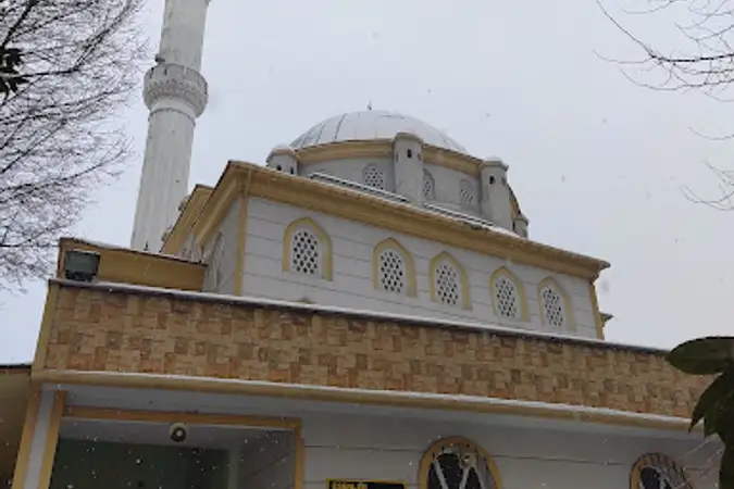 Fatih Cami kapak fotoğrafı