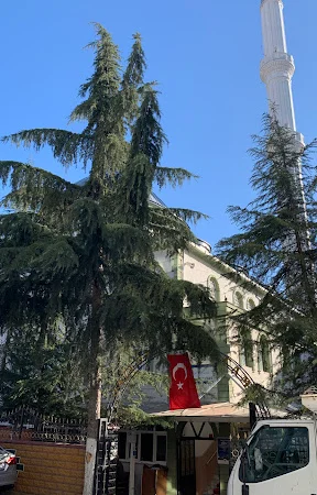 Gazi Osman Paşa Cami kapak fotoğrafı