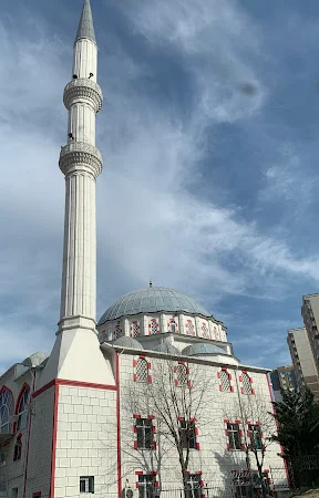 Hüseyin Ergun Ulu Cami kapak fotoğrafı
