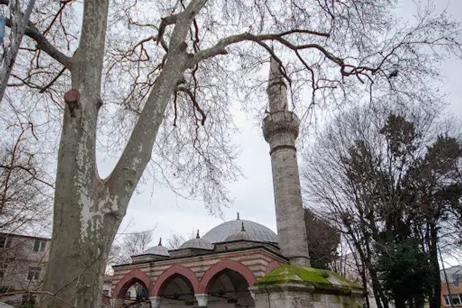 Cezri Kasım Cami kapak fotoğrafı