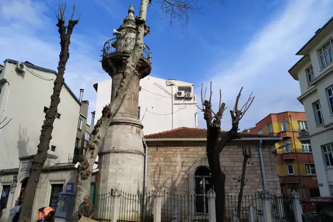 Molla Fenari Cami kapak fotoğrafı