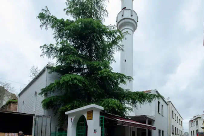 Sururi Daye Hatun Cami kapak fotoğrafı