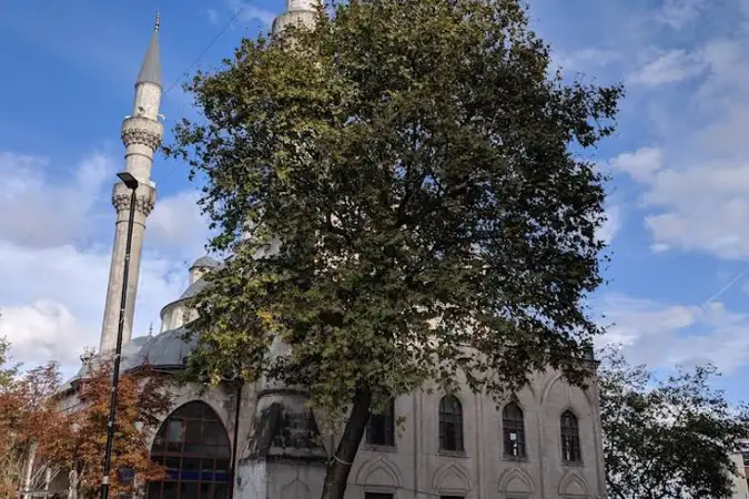Merkez Cami kapak fotoğrafı