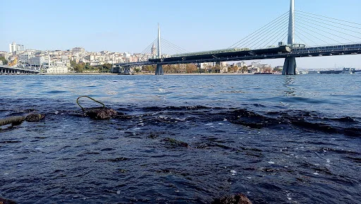 Şükrüoğlu Hüseyin Cami kapak fotoğrafı