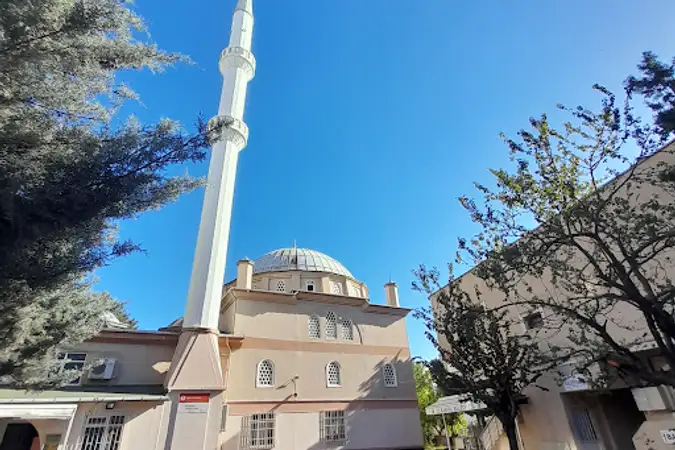 Kurfalı Çınar Cami kapak fotoğrafı