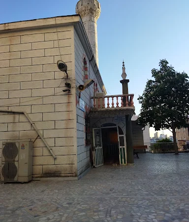 Fındıklı Merkez Cami kapak fotoğrafı