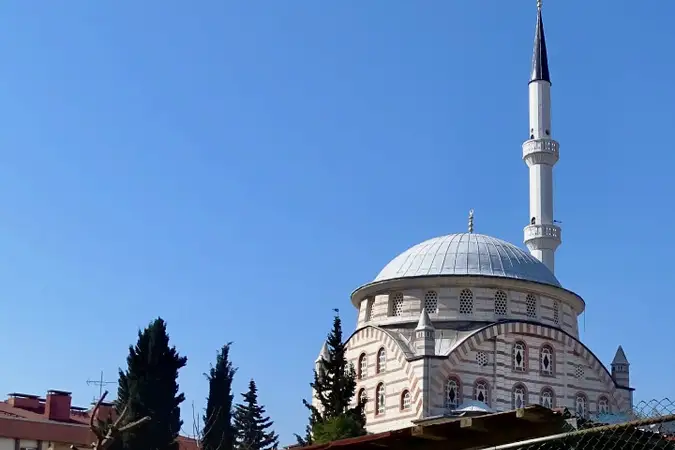 Küçükyalı Çınar Cami kapak fotoğrafı