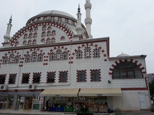 Yenişehir Petekkent cami kapak fotoğrafı