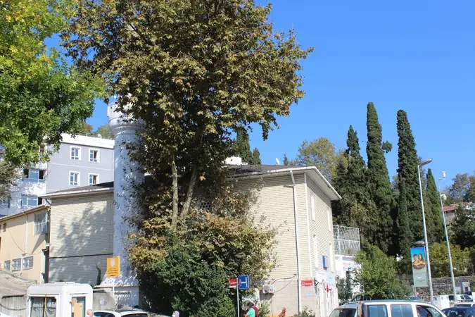 İstinye Mahmut Çavuş Cami kapak fotoğrafı