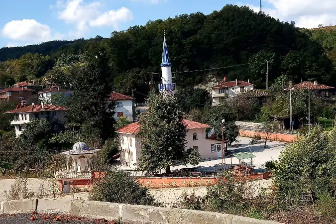 Bozgoca Köyü Cami kapak fotoğrafı