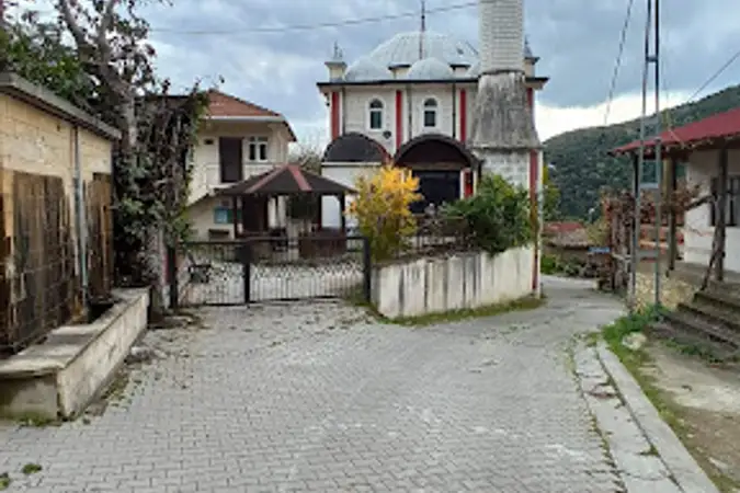 Gökmaşlı Köyü Cami kapak fotoğrafı