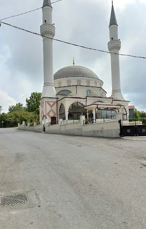 Kurfallı Köyü Cami kapak fotoğrafı