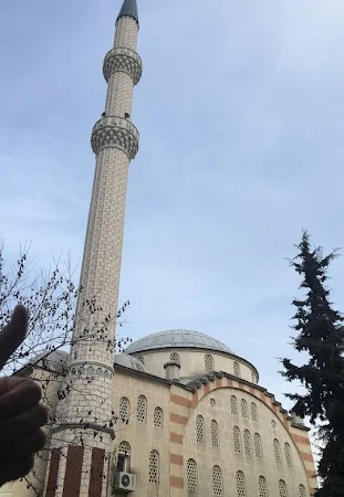 Söğütlüçayır Molla Cami kapak fotoğrafı