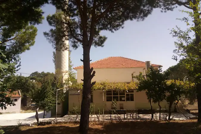 Alacalar Köyü Cami kapak fotoğrafı