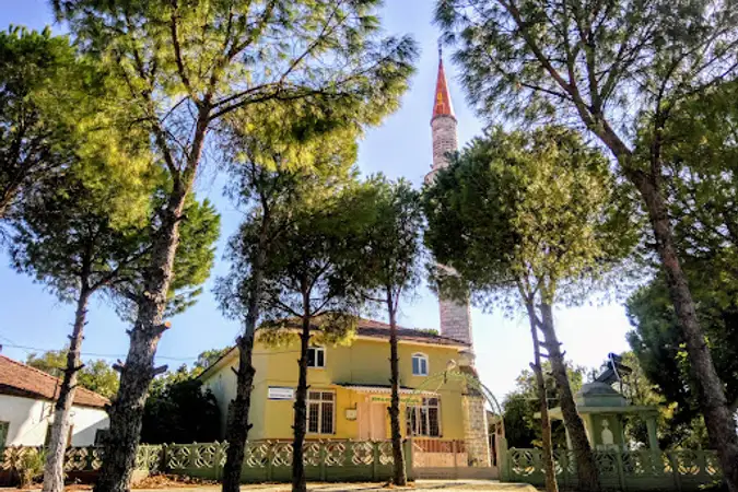 Tekkedere Köyü Cami kapak fotoğrafı