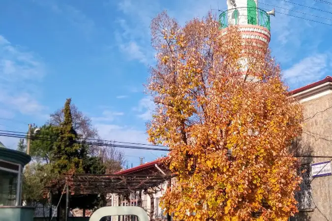Yukarıbey Koca Mahallesi Cami kapak fotoğrafı