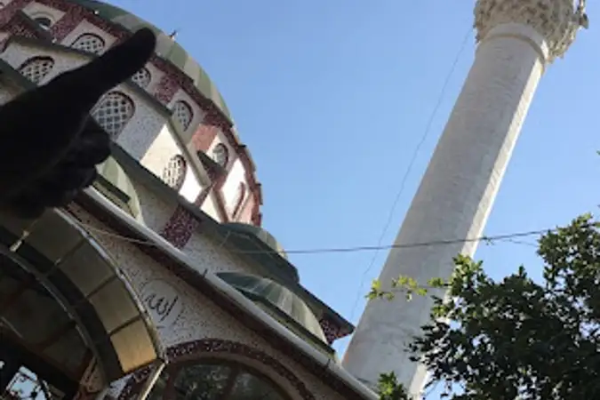 Sütçüler Aşağı Mahallesi Cami kapak fotoğrafı