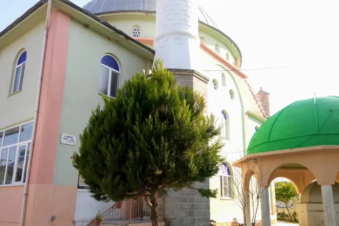 Poyracık Fatih Cami kapak fotoğrafı