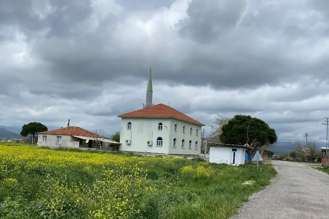 Yayakent Araplıovası Cami kapak fotoğrafı
