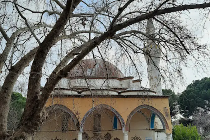 Birgi Mahallesi Derviş Ağa Cami kapak fotoğrafı