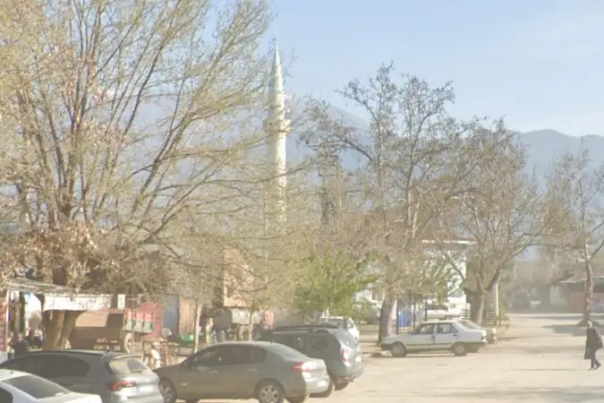 Gereli Köyü Merkez Cami kapak fotoğrafı