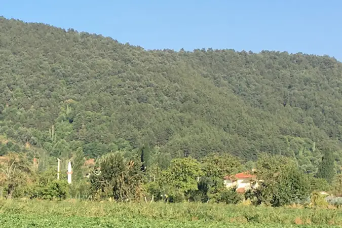 Gölcük Mahallesi Karşıyaka Cami kapak fotoğrafı
