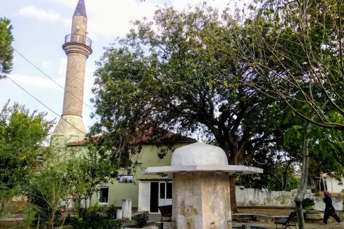 Düzce Mahallesi Cami kapak fotoğrafı